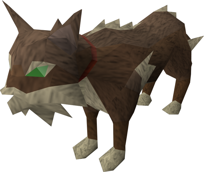 Cat (Meiyerditch) | RuneScape Wiki | FANDOM powered by Wikia