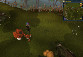 Treasure Trails Guide Simple Clues Runescape Wiki Fandom