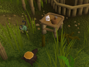 Ifaba's General Store