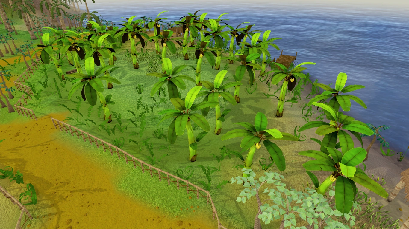 Banana plantation RuneScape Wiki FANDOM powered by Wikia