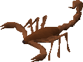 Old scorpion