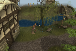 Lumbridge musician