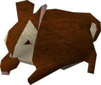 Carnivorous chinchompa