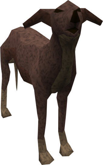 Image - Greyhound (dark brown) pet.png | RuneScape Wiki | FANDOM ...