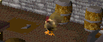 Evil-chicken-attacking