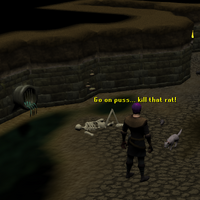 Ratcatchers Runescape Wiki Fandom