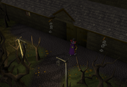 Draynor manor