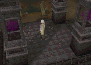 Runescape features wildernessteleportportals