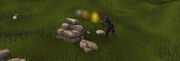 Twitter hint 23-7-11