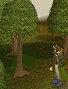 Woodcutting Tree
