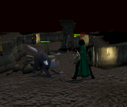 Killing experiment