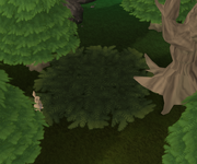 Leaf trap