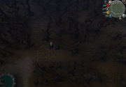 The spot to dig