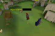 Evil chicken attacked me
