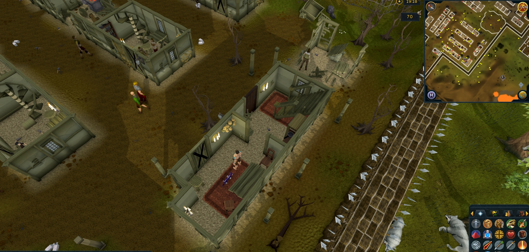 Cat training medal RuneScape Wiki FANDOM powered by Wikia