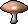 Bloodcap mushroom