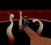 Fighting Tolna