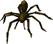 Gaint spider