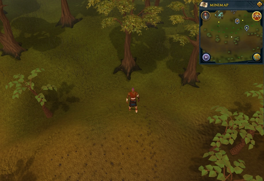 Image Compass clue Gu'Tanoth southwest of gnome glider.png