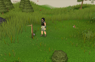 Birdsnaring