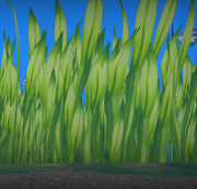 Fishing spot (Tutorial Island)