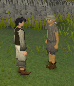 Runescape controls gamewindow theassistsystem-reqassist