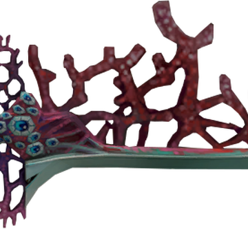 Coral Sword Token Runescape Wiki Fandom