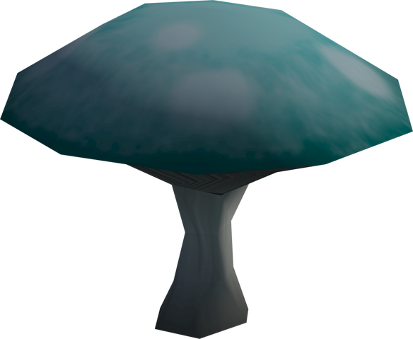 File:Wintercup mushroom detail.png