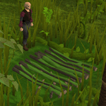 Pitfalltrapping