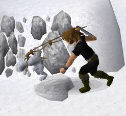 Catching polar kebbit