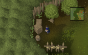 RunescapeWest