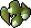 Hardy gout tubers