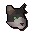 Lazycat1