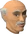 Arnold Lydspor chathead
