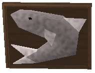 Big shark (hung)