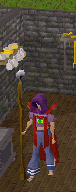 Cook cape anim