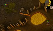 Player vs elvarg