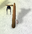 Bird snare