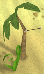 Tree with Arrow