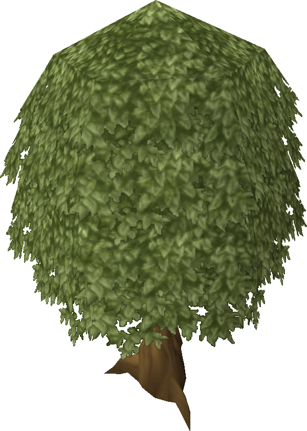 Image Oak tree old.png RuneScape Wiki FANDOM powered by Wikia