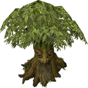 Spirit tree