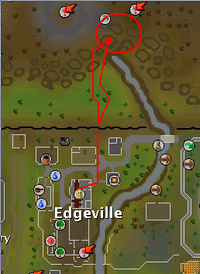 Zamorak wizard map