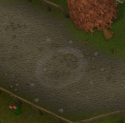 Hati teleport
