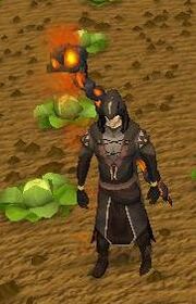 S1ng