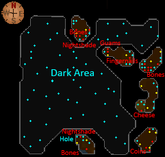 Skavid caves map
