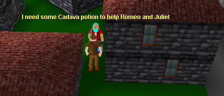 Romeo and Juliet Apothecary
