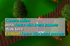 FencewithLoosePannels
