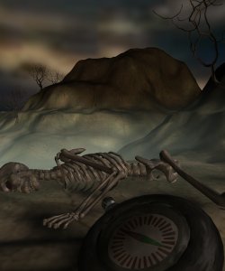 Mappingthewilderness