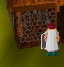 Barbarian Course net