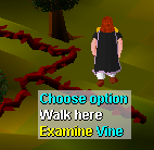 RedVineRC